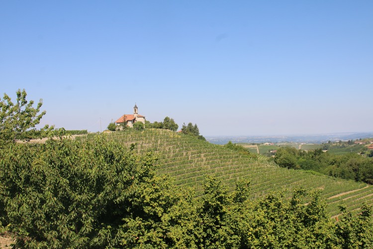 Piemonte Anna Maria Abbona